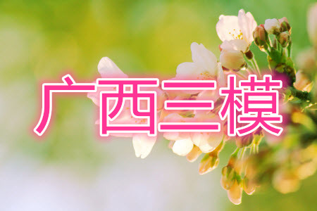 2021年4月廣西高三模擬考試語文試題及答案