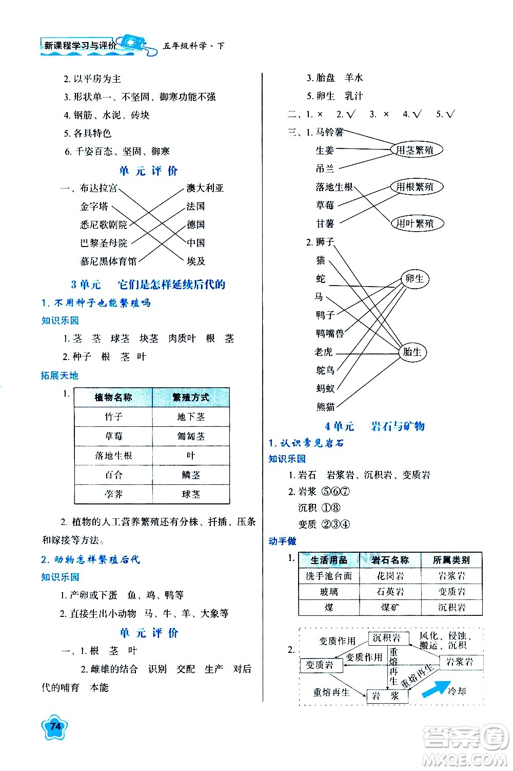 陜西人民教育出版社2021新課程學習與評價五年級科學下B蘇教版答案