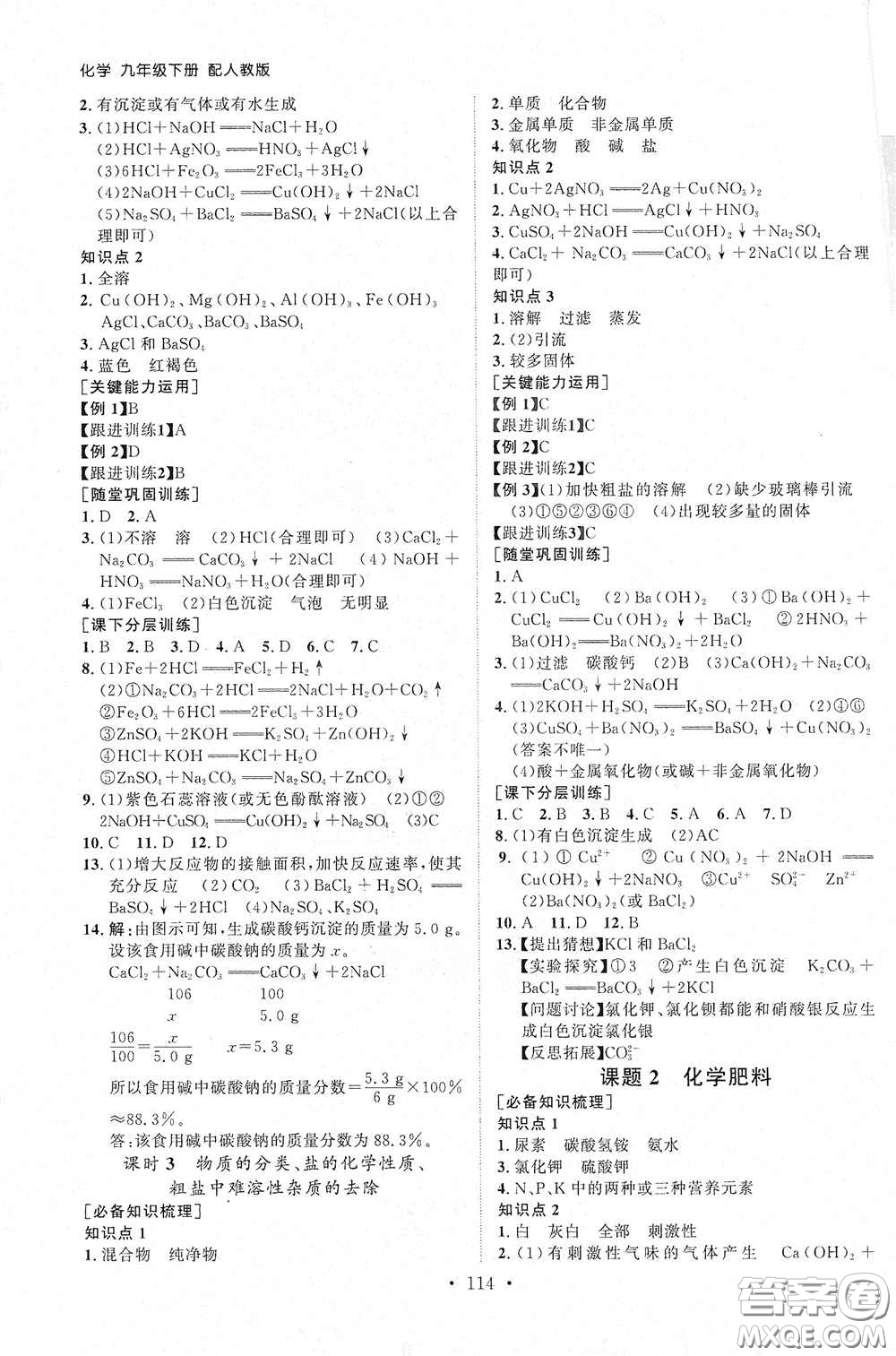 山東人民出版社2021初中同步練習(xí)冊(cè)九年級(jí)化學(xué)下冊(cè)人教版答案