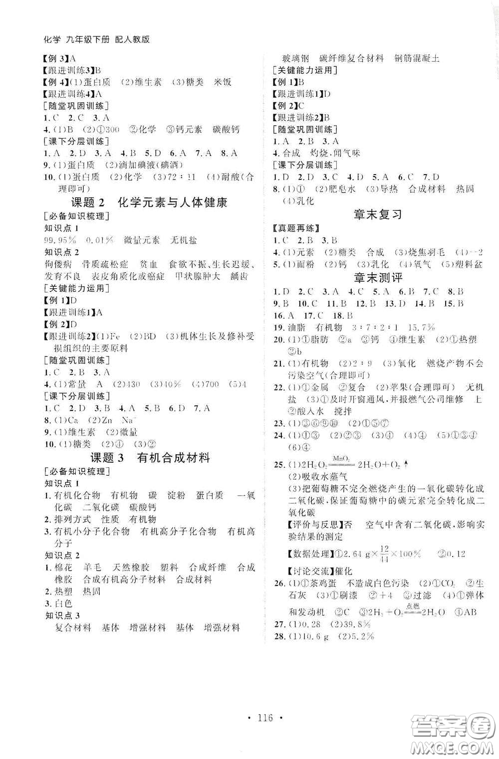 山東人民出版社2021初中同步練習(xí)冊(cè)九年級(jí)化學(xué)下冊(cè)人教版答案