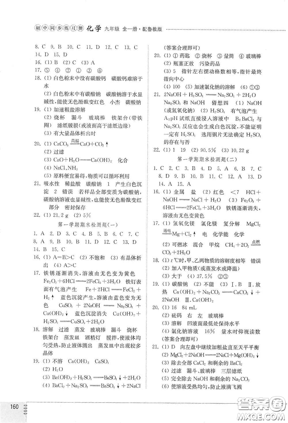 山東教育出版社2021初中同步練習冊九年級化學九年級全一冊魯教版五四學制答案