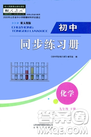 山東人民出版社2021初中同步練習(xí)冊(cè)九年級(jí)化學(xué)下冊(cè)人教版答案