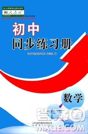 山東教育出版社2021初中同步練習(xí)冊(cè)九年級(jí)數(shù)學(xué)下冊(cè)人教版答案