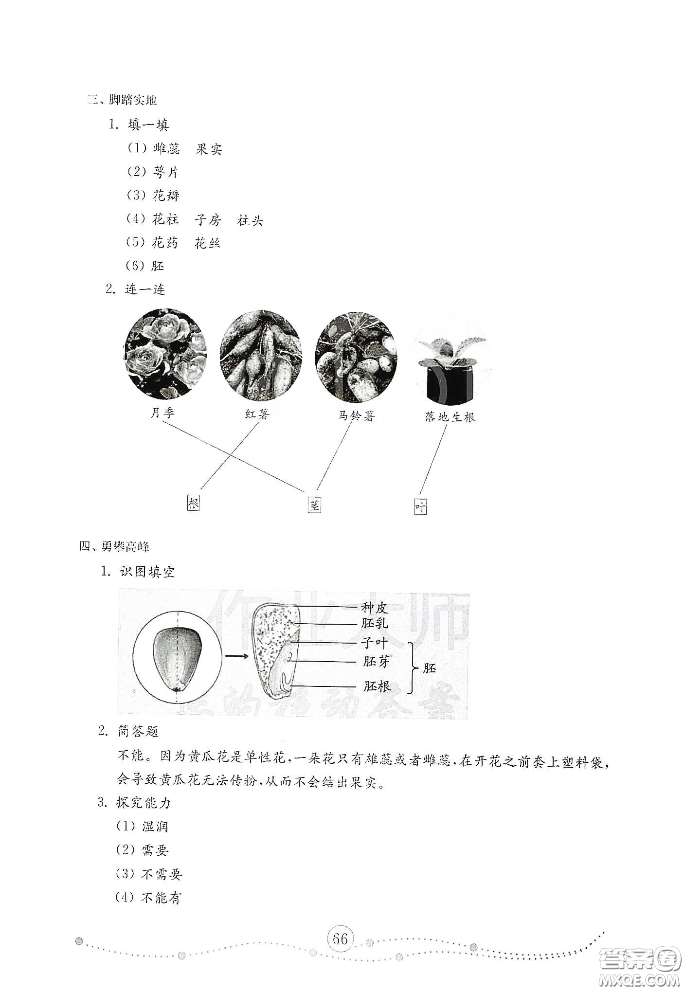 山東教育出版社2021小學(xué)科學(xué)試卷金鑰匙三年級下冊人教版答案