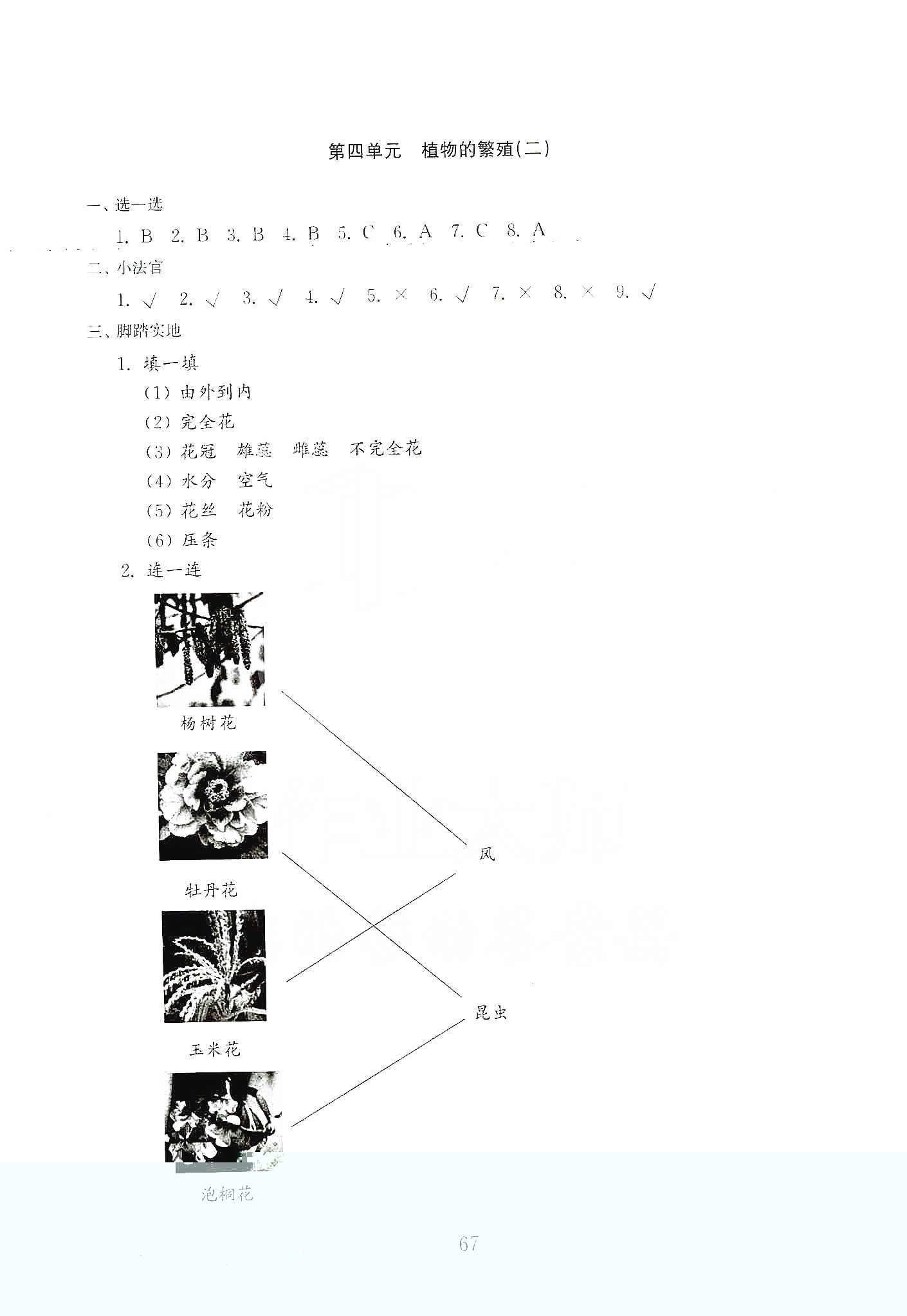 山東教育出版社2021小學(xué)科學(xué)試卷金鑰匙三年級下冊人教版答案