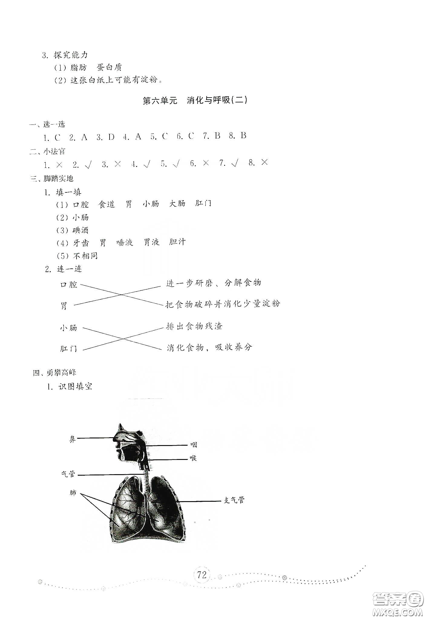 山東教育出版社2021小學(xué)科學(xué)試卷金鑰匙三年級下冊人教版答案