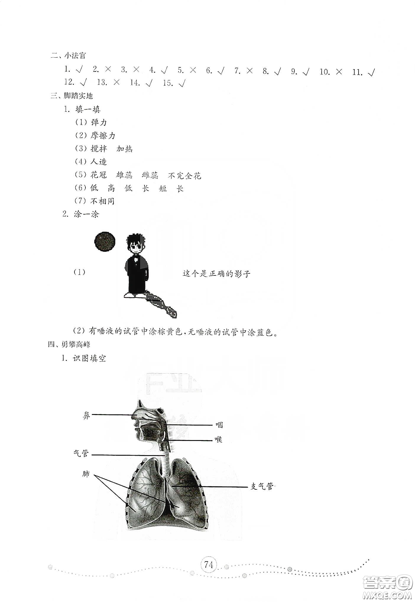 山東教育出版社2021小學(xué)科學(xué)試卷金鑰匙三年級下冊人教版答案