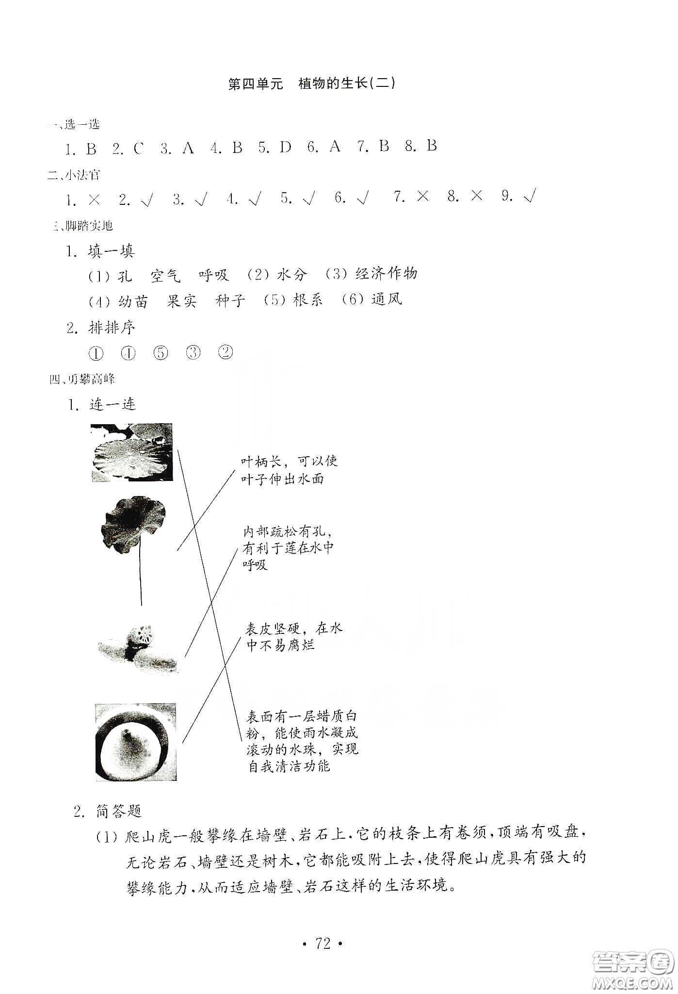 山東教育出版社2021小學(xué)科學(xué)試卷金鑰匙四年級下冊答案