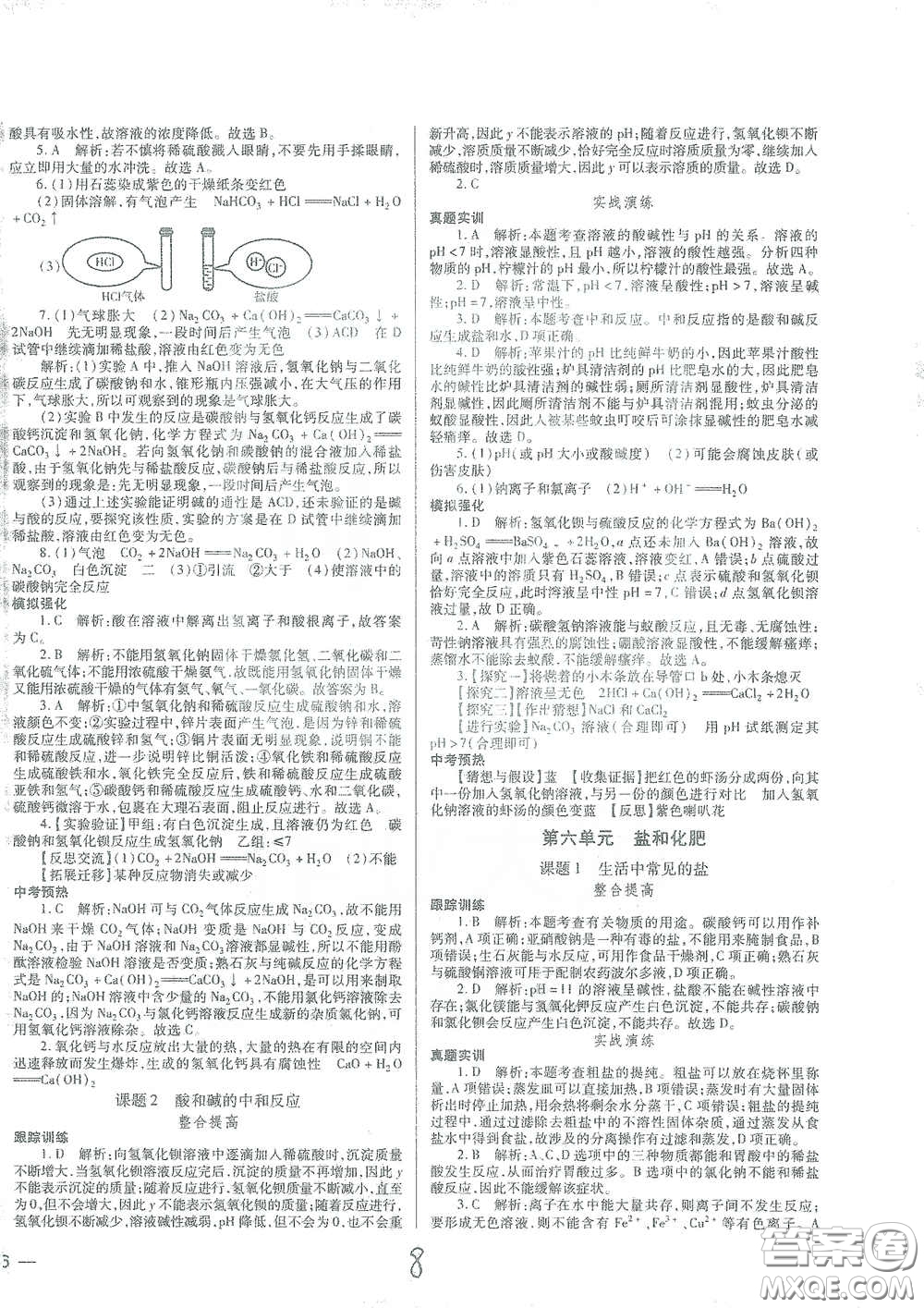 河北少年兒童出版社2021世超金典中考金鑰匙中考總復(fù)習(xí)用書化學(xué)河北專用版答案