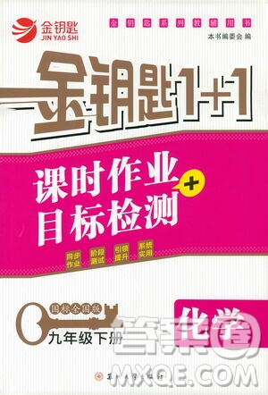 蘇州大學(xué)出版社2021金鑰匙1+1課時(shí)作業(yè)目標(biāo)檢測(cè)九年級(jí)化學(xué)下冊(cè)國(guó)標(biāo)全國(guó)版答案