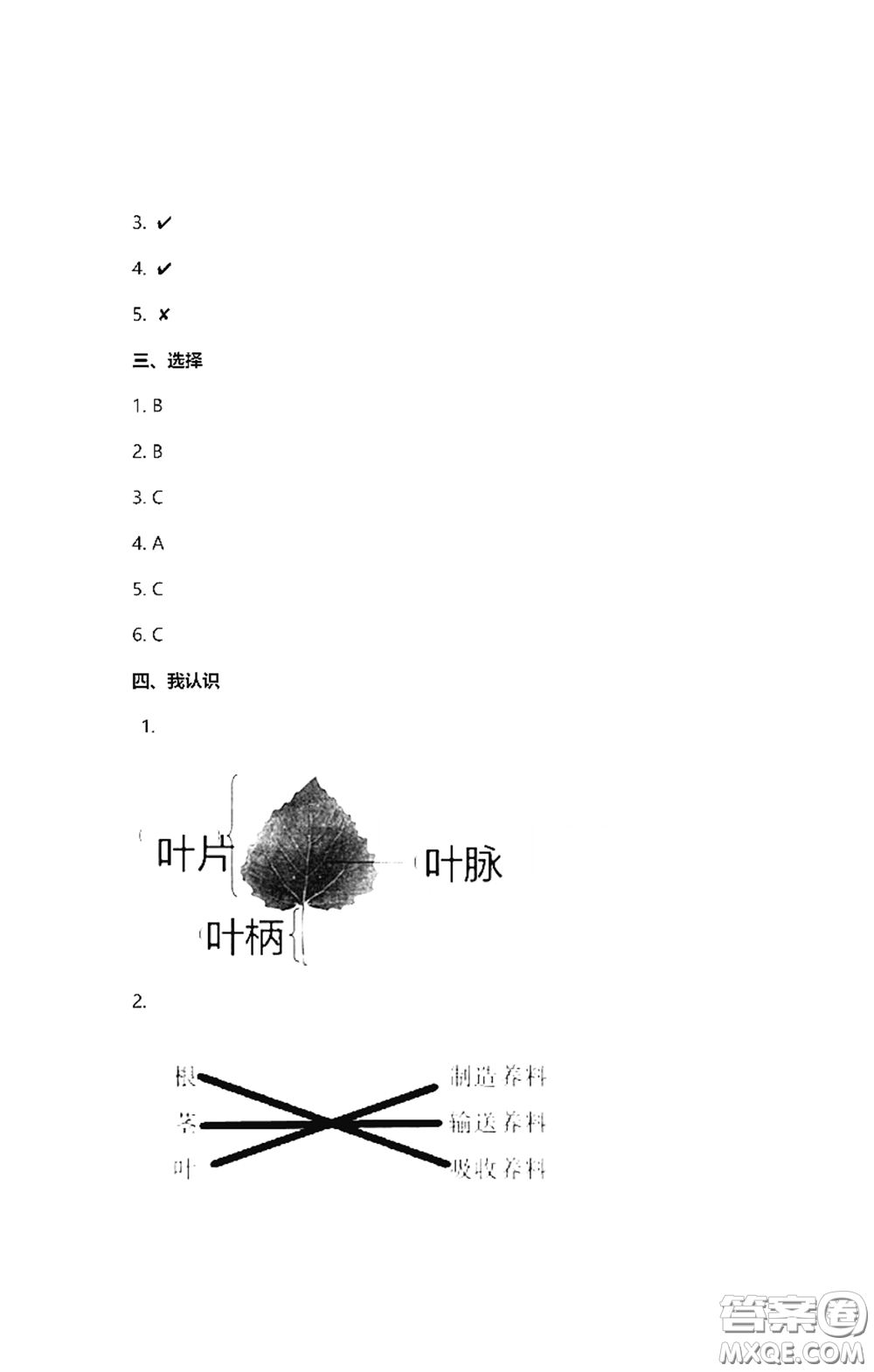 2021云南省標(biāo)準(zhǔn)教輔同步指導(dǎo)訓(xùn)練與檢測(cè)三年級(jí)科學(xué)下冊(cè)蘇教版答案
