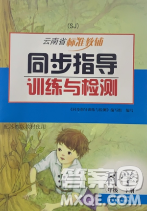 2021云南省標(biāo)準(zhǔn)教輔同步指導(dǎo)訓(xùn)練與檢測(cè)三年級(jí)科學(xué)下冊(cè)蘇教版答案