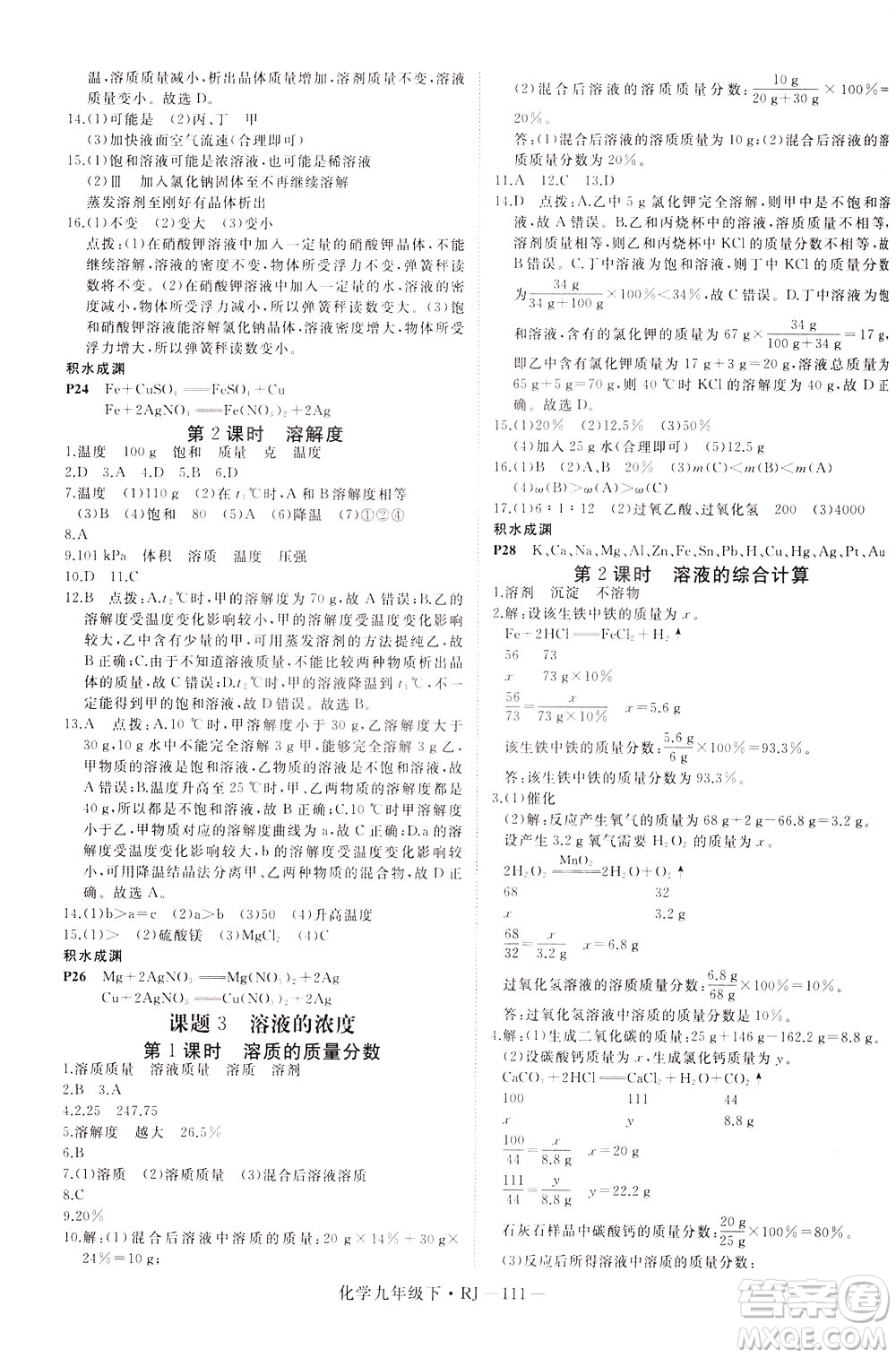 延邊大學出版社2021新領(lǐng)程初中化學九年級下冊RJ人教版答案