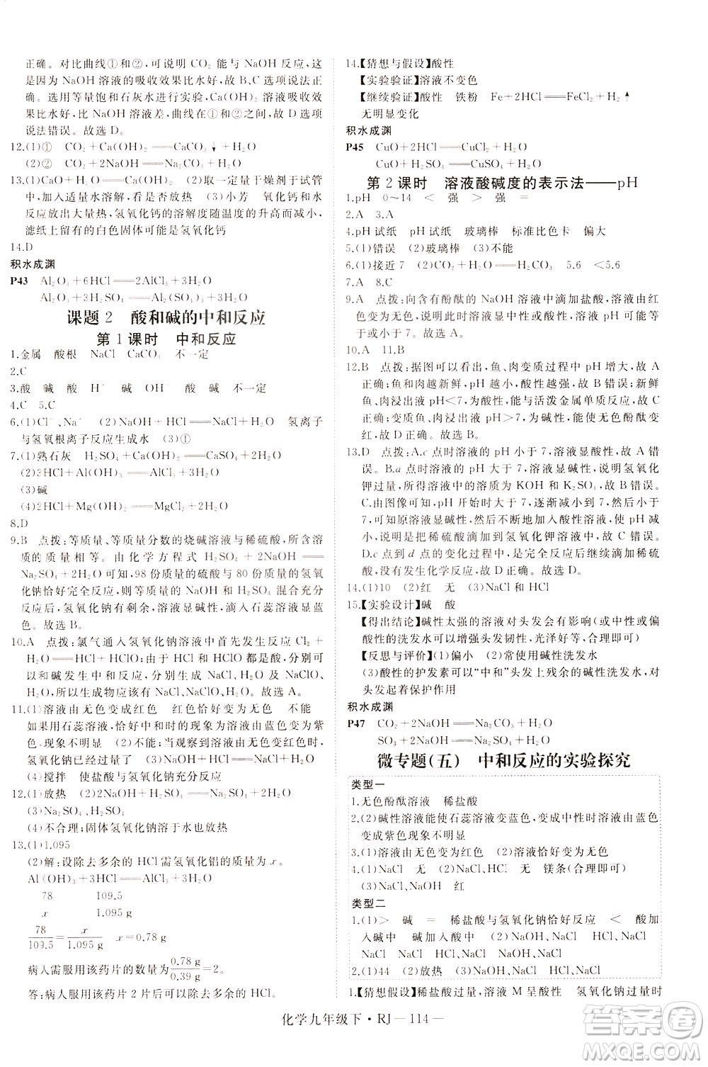 延邊大學出版社2021新領(lǐng)程初中化學九年級下冊RJ人教版答案