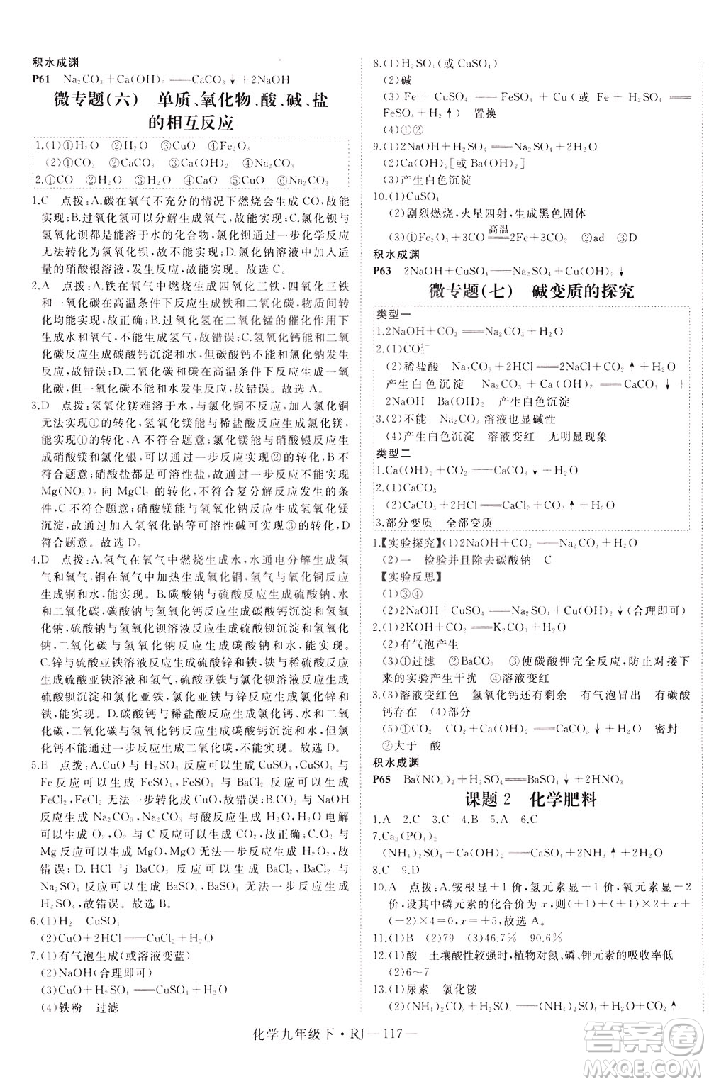 延邊大學出版社2021新領(lǐng)程初中化學九年級下冊RJ人教版答案