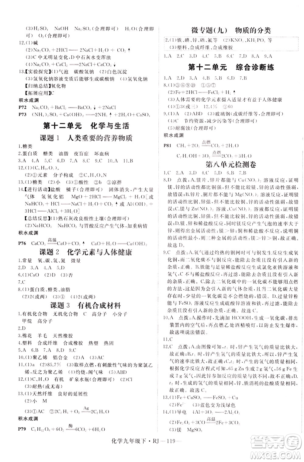 延邊大學出版社2021新領(lǐng)程初中化學九年級下冊RJ人教版答案