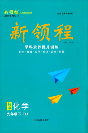 延邊大學出版社2021新領(lǐng)程初中化學九年級下冊RJ人教版答案