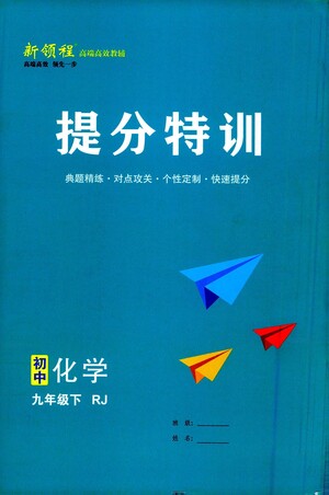 延邊大學(xué)出版社2021新領(lǐng)程提分特訓(xùn)初中化學(xué)九年級下冊RJ人教版答案