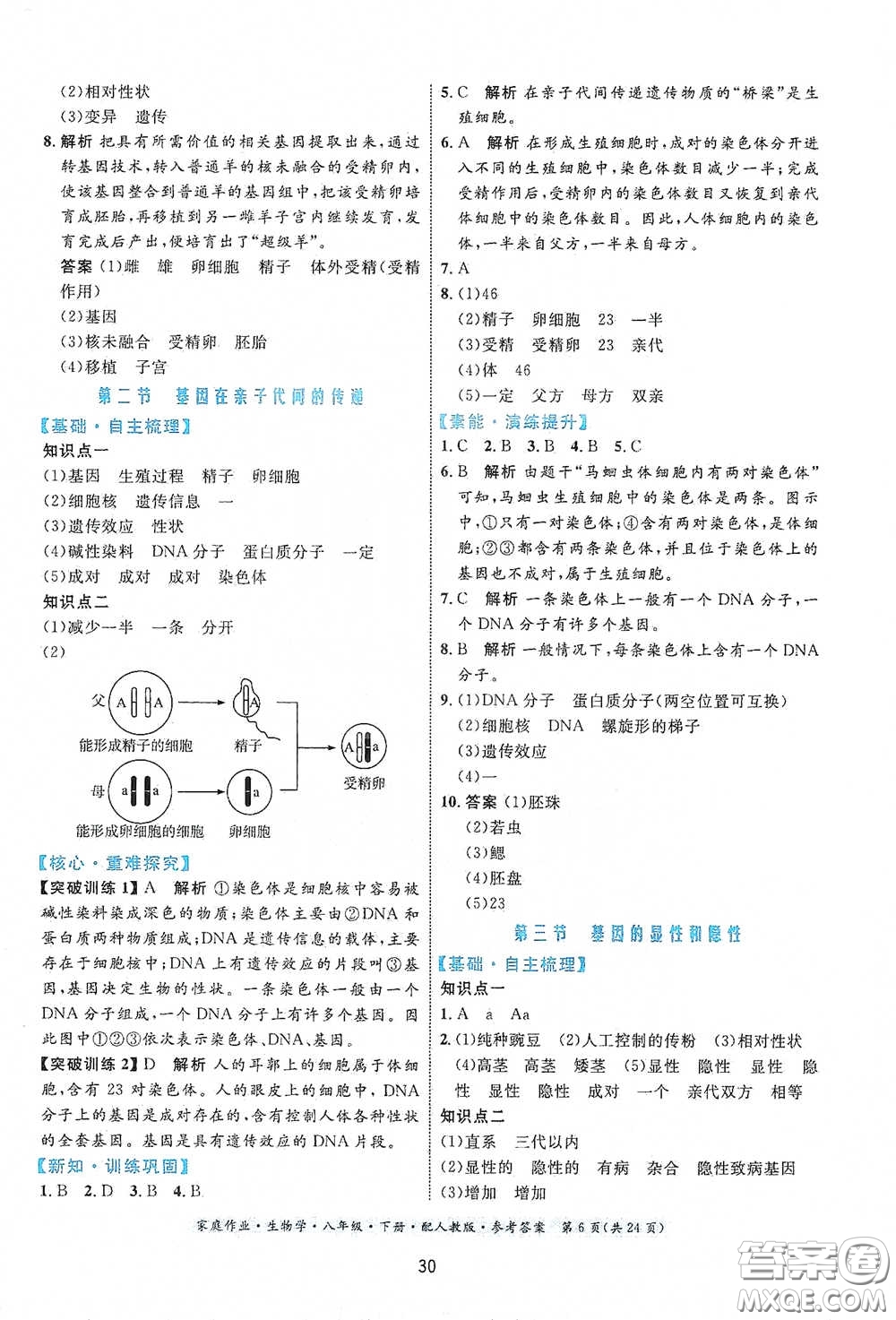 貴州人民出版社2021家庭作業(yè)八年級生物學(xué)下冊人教版答案