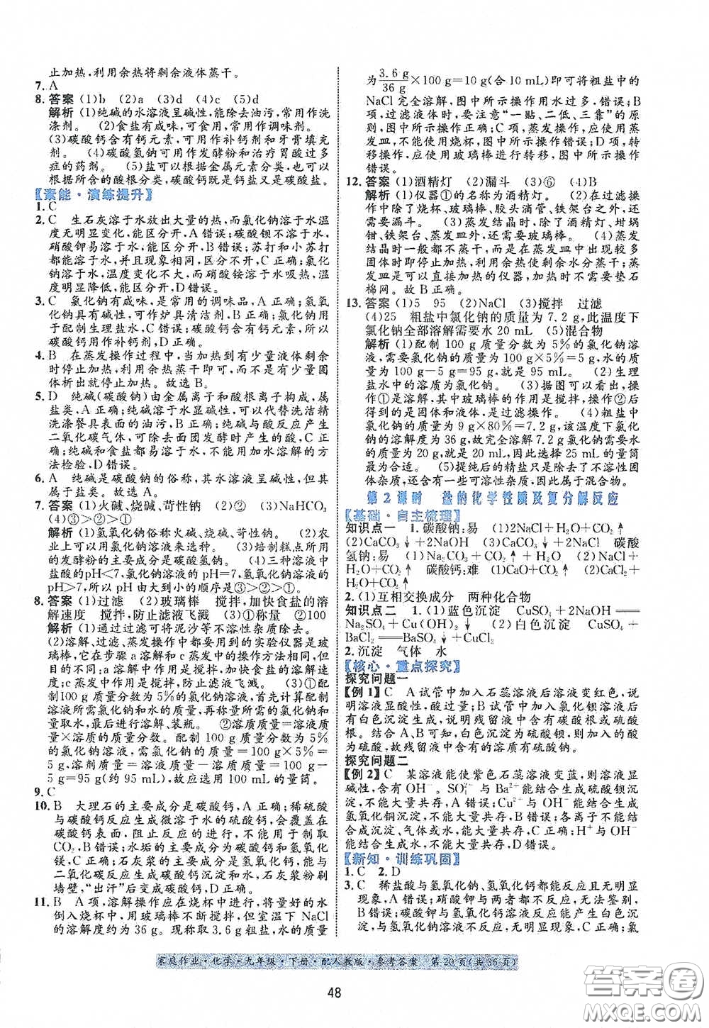 貴州人民出版社2021家庭作業(yè)九年級化學(xué)下冊人教版答案