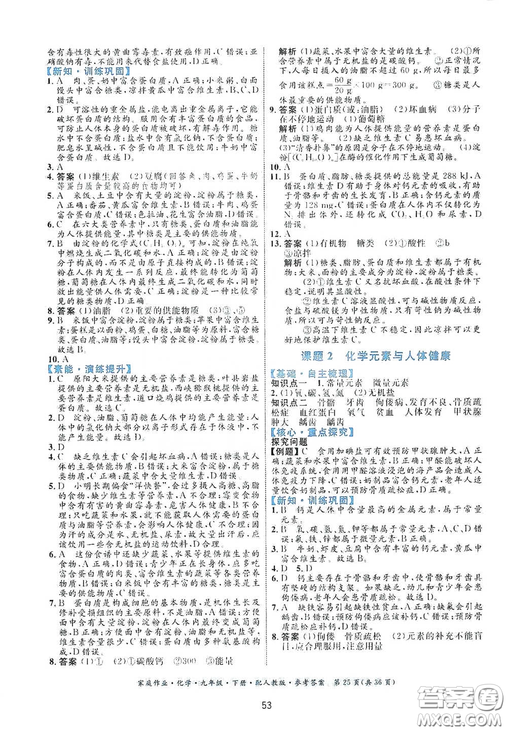 貴州人民出版社2021家庭作業(yè)九年級化學(xué)下冊人教版答案