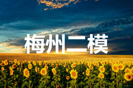 2021年5月梅州市高三總復(fù)習(xí)質(zhì)檢數(shù)學(xué)試題及答案