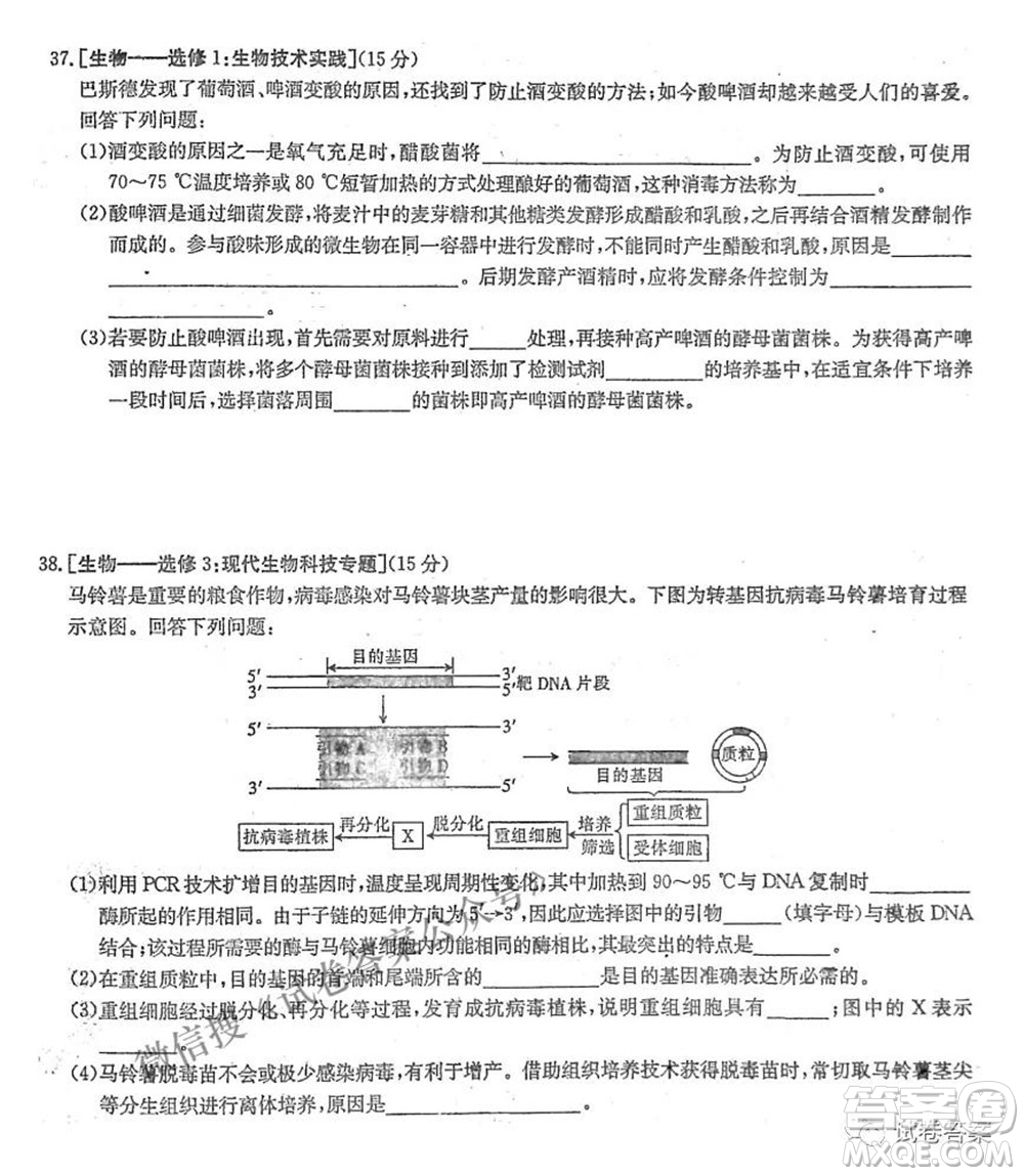 晉城市2021年高三第三次模擬考試?yán)砜凭C合試題及答案