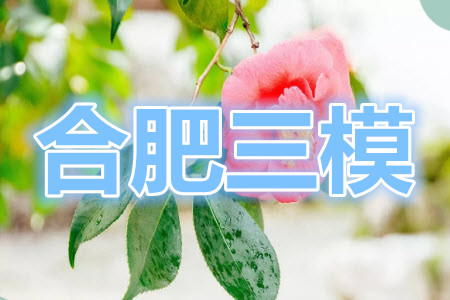 合肥市2021年高三第三次教學(xué)質(zhì)量檢測(cè)語文試題及答案