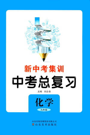 山東美術(shù)出版社2021新中考集訓(xùn)中考總復(fù)習(xí)化學(xué)九年級(jí)通用版答案