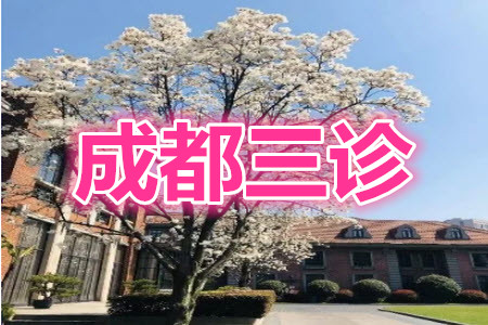 成都市2018級高中畢業(yè)班第三次診斷性檢測文科數(shù)學(xué)試題及答案