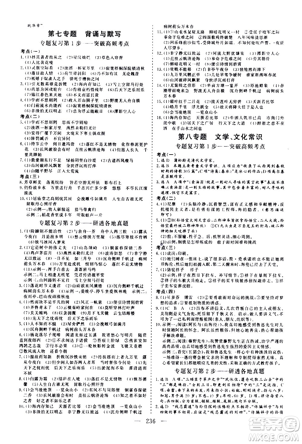山東美術(shù)出版社2021新中考集訓(xùn)中考總復(fù)習(xí)語文九年級(jí)通用版答案