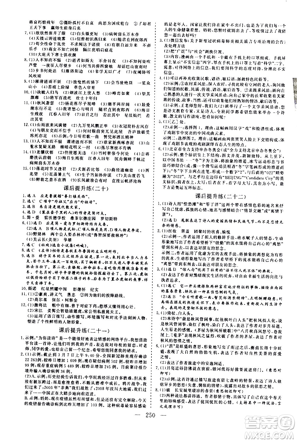 山東美術(shù)出版社2021新中考集訓(xùn)中考總復(fù)習(xí)語文九年級(jí)通用版答案
