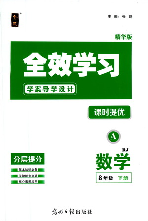 光明日報出版社2021全效學(xué)習(xí)課時提優(yōu)數(shù)學(xué)八年級下冊RJ人教版A版答案