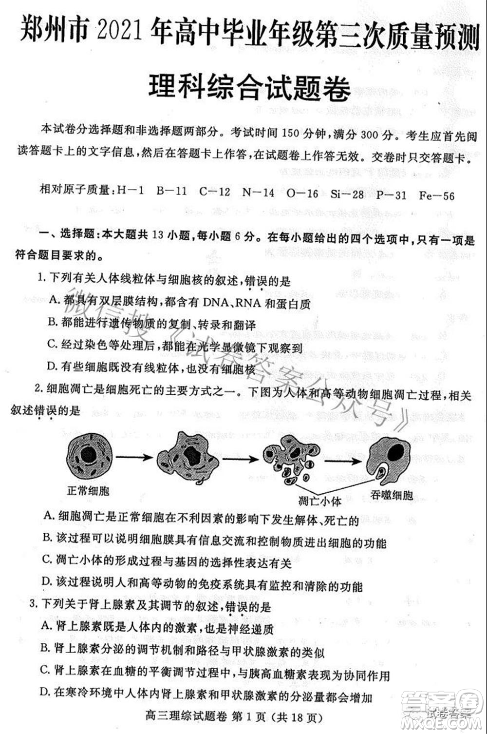 鄭州市2021年高中畢業(yè)年級第三次質(zhì)量預(yù)測理科綜合試題及答案
