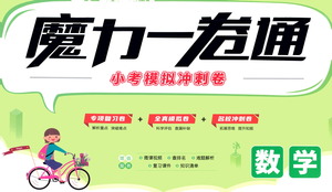 江西美術出版社2021魔力一卷通小考模擬沖刺卷數(shù)學人教版答案