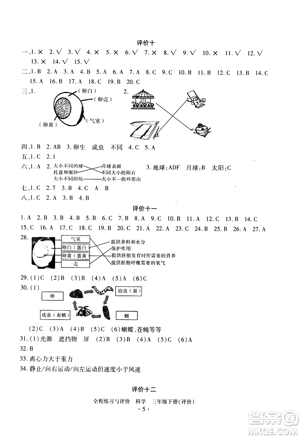浙江人民出版社2021全程練習(xí)與評價評價三年級下冊科學(xué)J冀教版答案