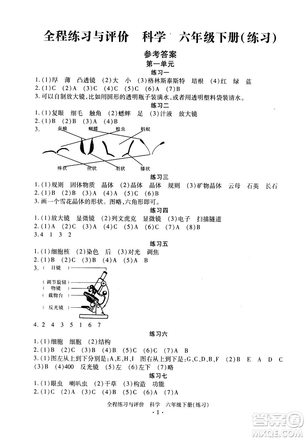 浙江人民出版社2021全程練習與評價練習六年級下冊科學J冀教版答案
