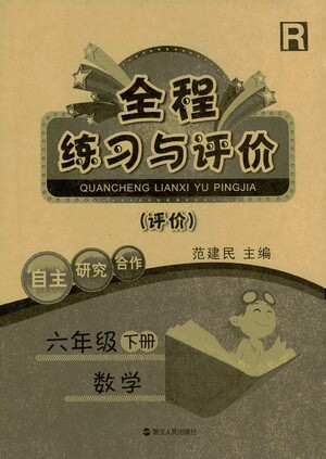 浙江人民出版社2021全程練習(xí)與評價(jià)評價(jià)六年級下冊數(shù)學(xué)R人教版答案