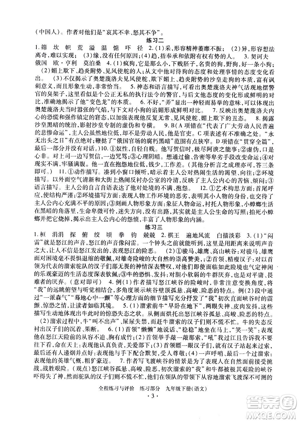 浙江人民出版社2021全程練習(xí)與評(píng)價(jià)練習(xí)九年級(jí)下冊語文R人教版答案