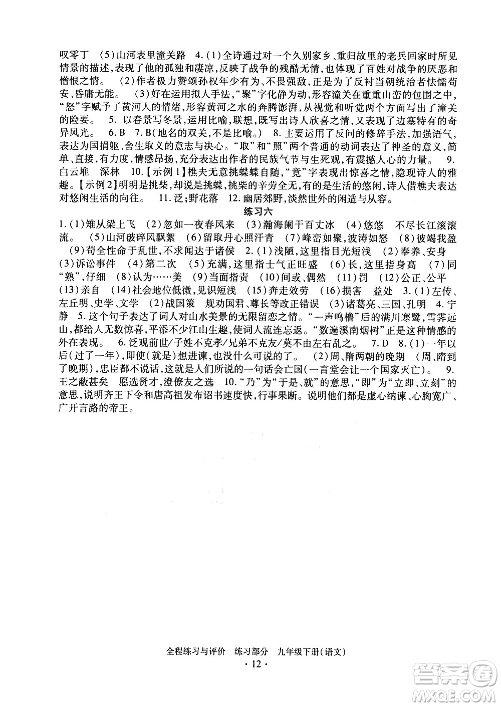 浙江人民出版社2021全程練習(xí)與評(píng)價(jià)練習(xí)九年級(jí)下冊語文R人教版答案