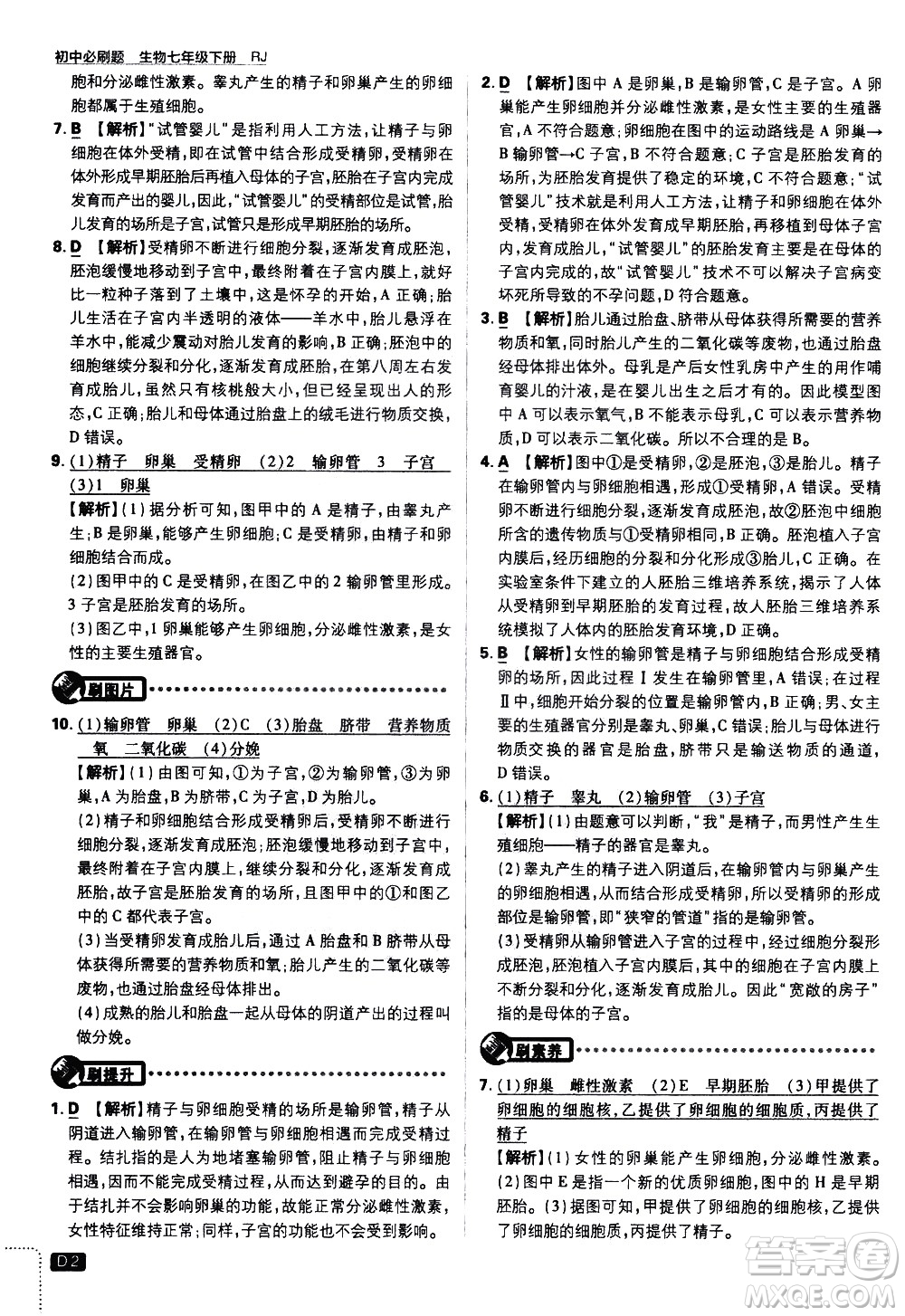 開明出版社2021版初中必刷題生物七年級(jí)下冊RJ人教版答案