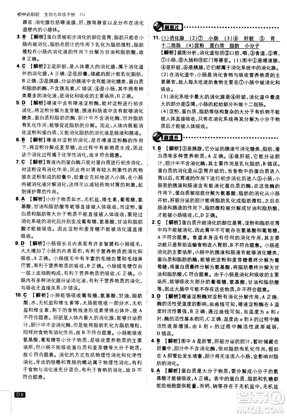 開明出版社2021版初中必刷題生物七年級(jí)下冊RJ人教版答案