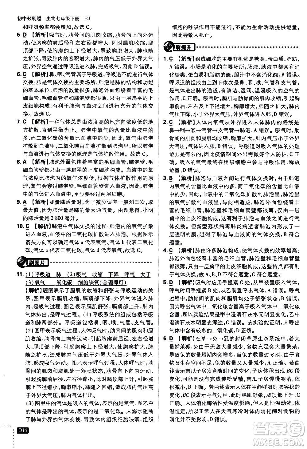 開明出版社2021版初中必刷題生物七年級(jí)下冊RJ人教版答案
