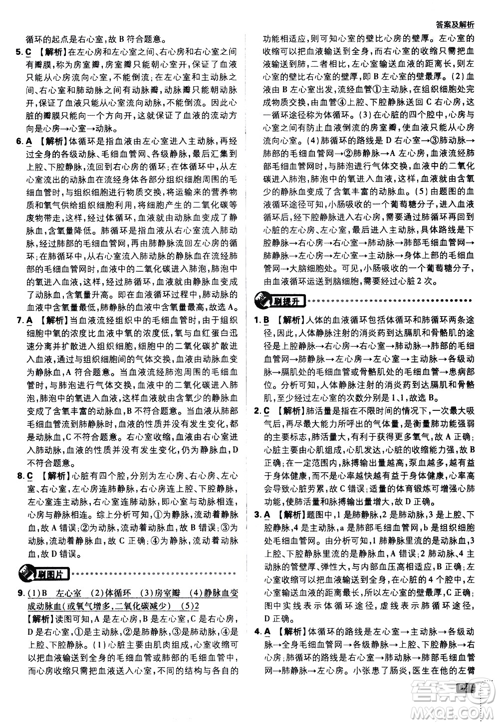 開明出版社2021版初中必刷題生物七年級(jí)下冊RJ人教版答案