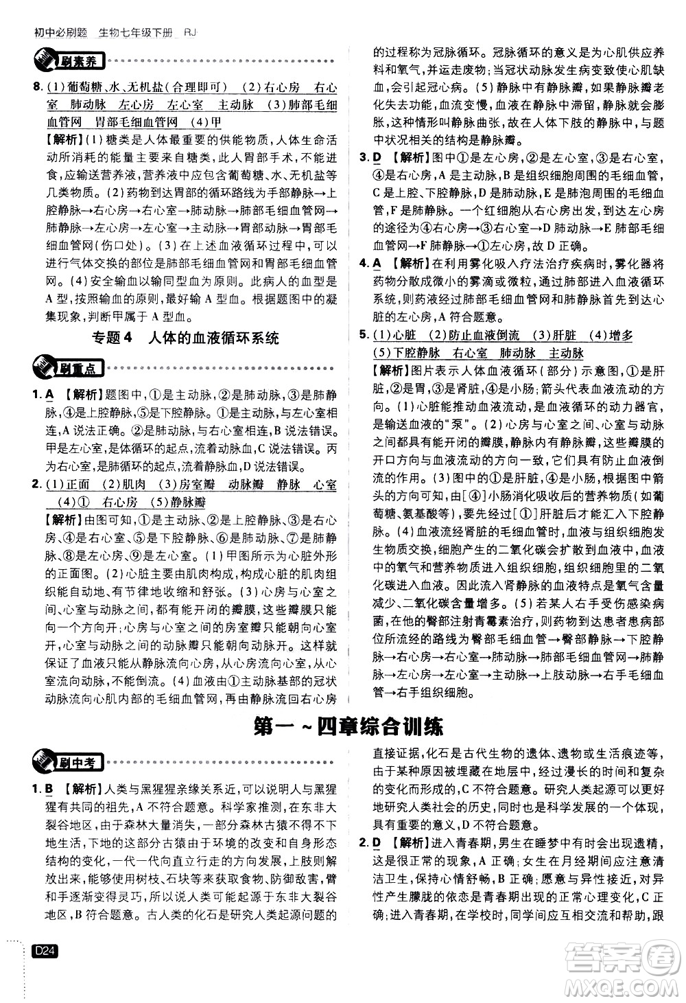 開明出版社2021版初中必刷題生物七年級(jí)下冊RJ人教版答案
