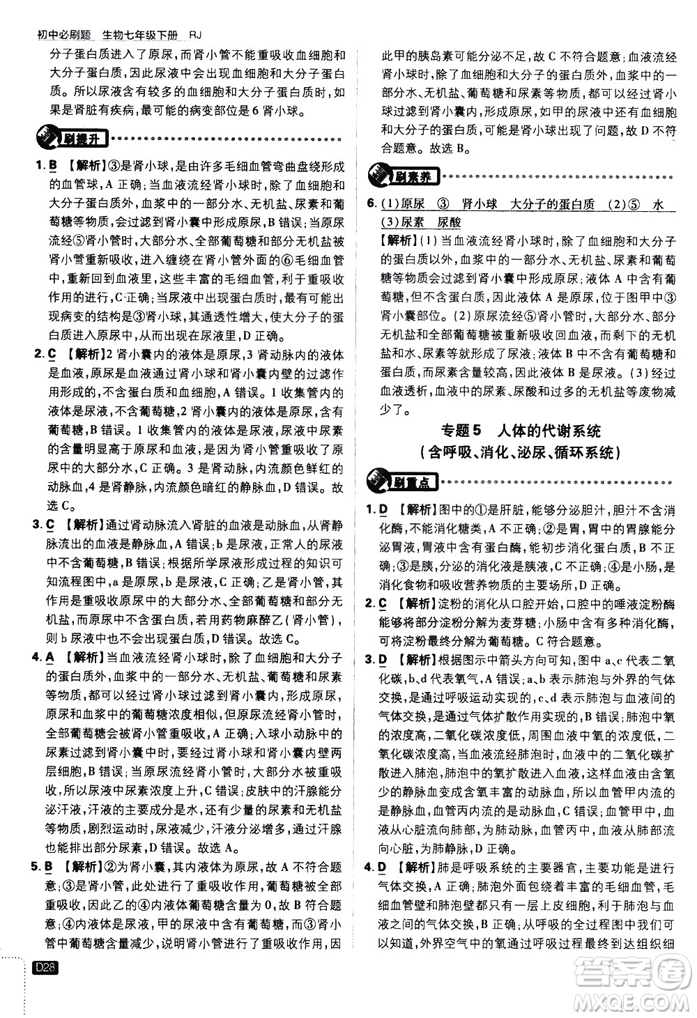 開明出版社2021版初中必刷題生物七年級(jí)下冊RJ人教版答案