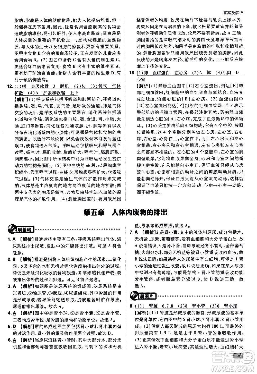 開明出版社2021版初中必刷題生物七年級(jí)下冊RJ人教版答案