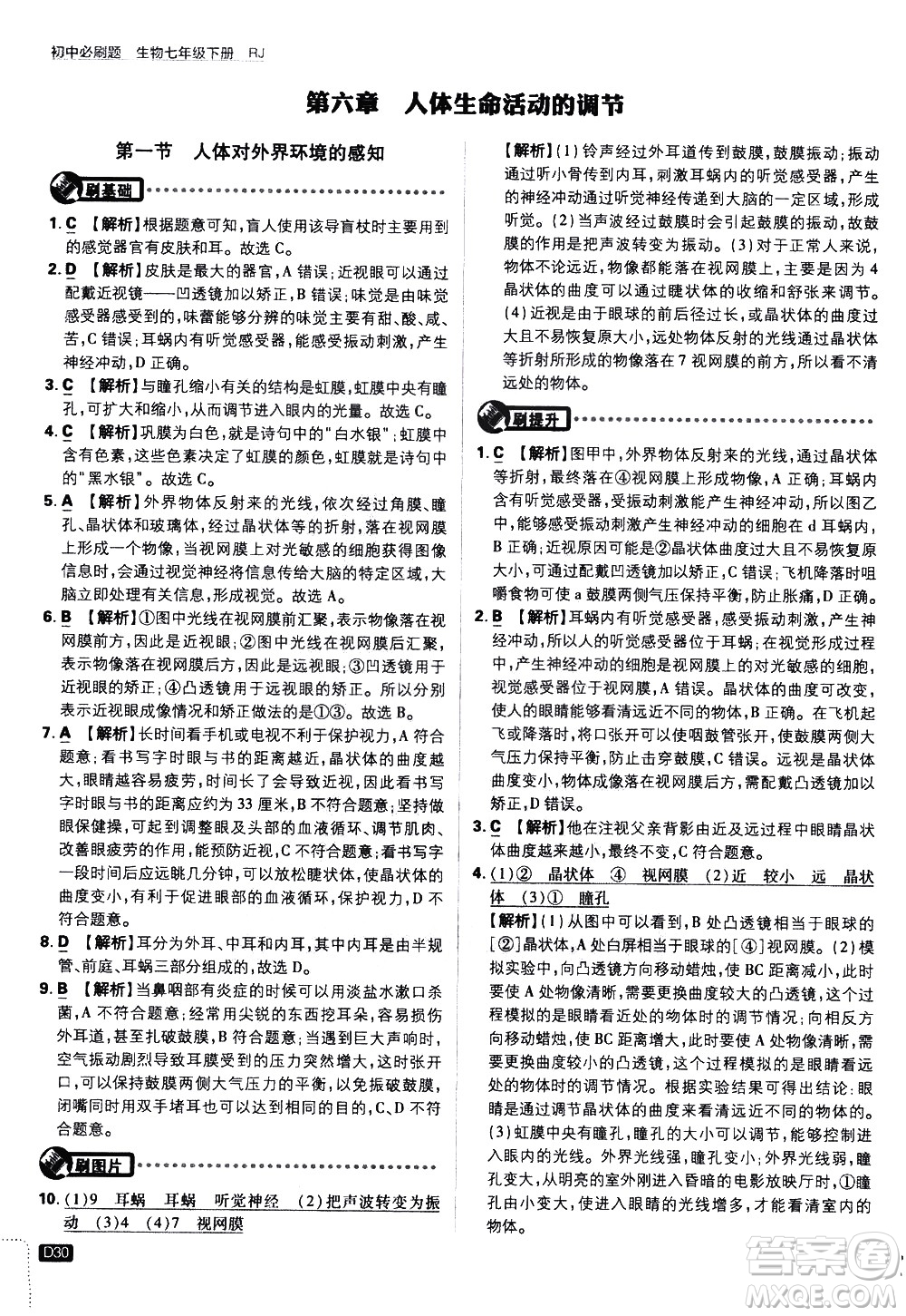 開明出版社2021版初中必刷題生物七年級(jí)下冊RJ人教版答案