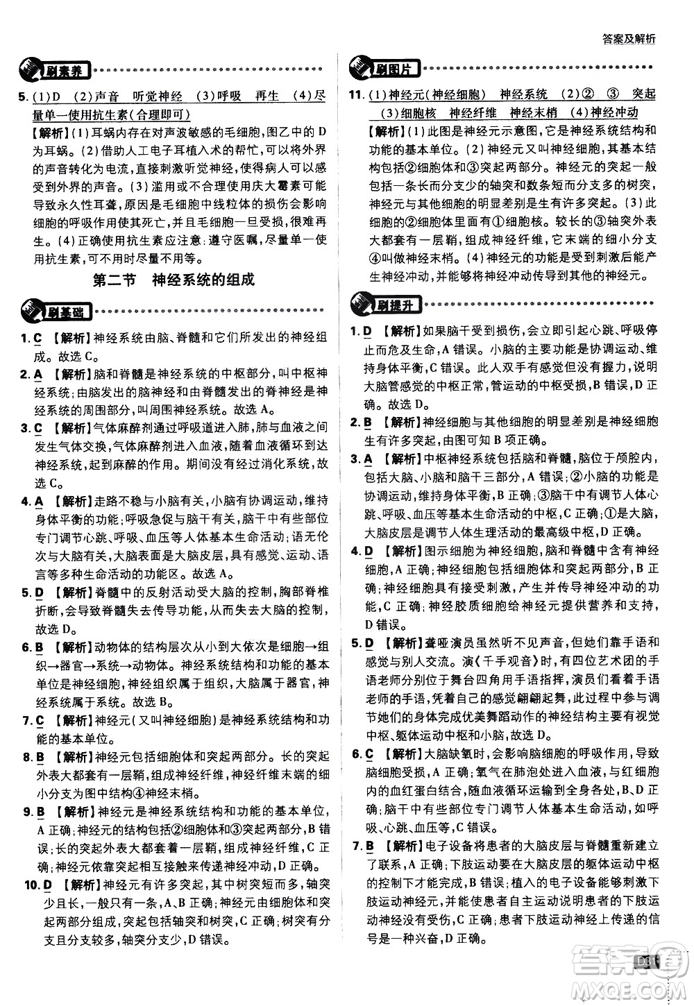 開明出版社2021版初中必刷題生物七年級(jí)下冊RJ人教版答案