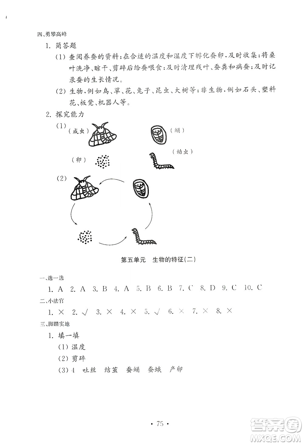 山東教育出版社2021年小學(xué)科學(xué)金鑰匙試卷四年級下冊青島版答案